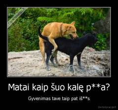Matai kaip šuo kalę p**a? - Gyvenimas tave taip pat iš**s