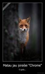 Matau jau įsirašei "Chrome" - O gaila...