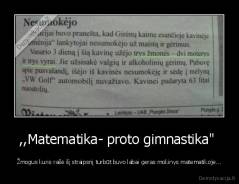 ,,Matematika- proto gimnastika"  - Žmogus kuris rašė šį straipsnį turbūt buvo labai geras mokinys matematikoje...