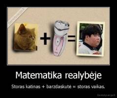 Matematika realybėje - Storas katinas + barzdaskutė = storas vaikas.