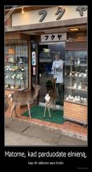 Matome, kad parduodate elnieną, - kaip tik ieškome savo brolio