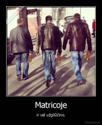 Matricoje - ir vėl užgliūčino.