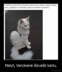 Matyt, Venckienė išsivežė kartu. - 