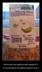 Maxima apie viska pagalvota nieko nepadaryta :D - tik maximoj galima rast ilgalaikio galiojimo tortus:D