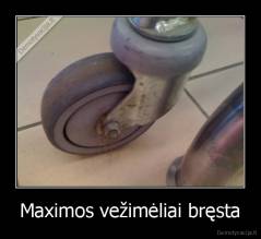 Maximos vežimėliai bręsta - 