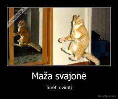 Maža svajonė - Turėti dviratį