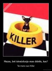 Mazas, bet isivaizduoja esas didelis, kas? - Tai mano suo Killer