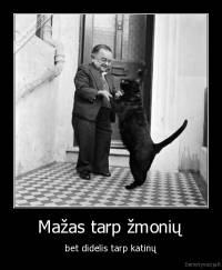 Mažas tarp žmonių - bet didelis tarp katinų