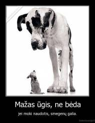 Mažas ūgis, ne bėda - jei moki naudotis, smegenų galia.