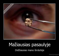 Mažiausias pasaulyje - Didžiausias mano širdutėje