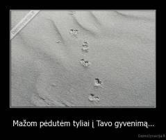 Mažom pėdutėm tyliai į Tavo gyvenimą... - 