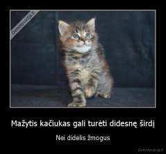 Mažytis kačiukas gali turėti didesnę širdį - Nei didelis žmogus