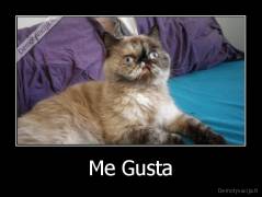 Me Gusta - 