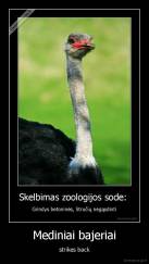 Mediniai bajeriai - strikes back