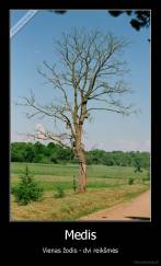 Medis - Vienas žodis - dvi reikšmės