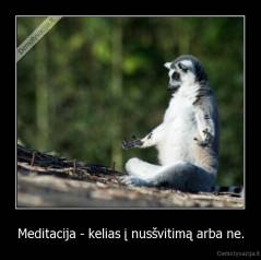 Meditacija - kelias į nusšvitimą arba ne. - 