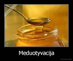 Meduotyvacija - 