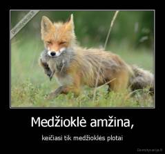 Medžioklė amžina, - keičiasi tik medžioklės plotai