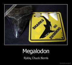 Megalodon - Ryklių Chuck Norris