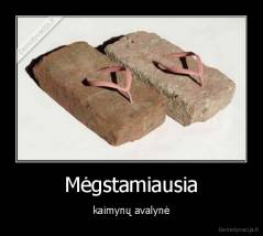 Mėgstamiausia - kaimynų avalynė