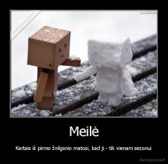 Meilė - Kartais iš pirmo žvilgsnio matosi, kad ji - tik vienam sezonui