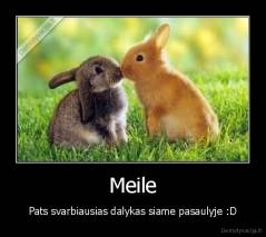 Meile - Pats svarbiausias dalykas siame pasaulyje :D