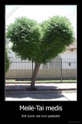 Meilė-Tai medis - Ant kurio visi nori pasikarti