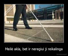 Meilė akla, bet ir neregiui ji reikalinga - 