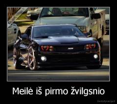 Meilė iš pirmo žvilgsnio - 