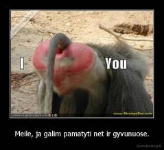 Meile, ja galim pamatyti net ir gyvunuose. - 