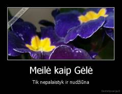 Meilė kaip Gėlė - Tik nepalaistyk ir nudžiūna