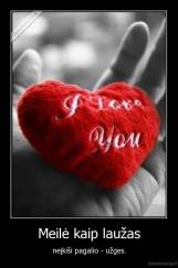 Meilė kaip laužas - neįkiši pagalio - užges