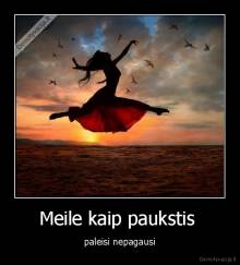 Meile kaip paukstis  - paleisi nepagausi