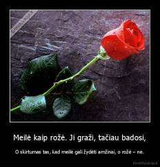 Meilė kaip rožė. Ji graži, tačiau badosi, - O skirtumas tas, kad meilė gali žydėti amžinai, o rožė – ne.