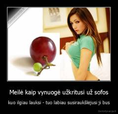 Meilė kaip vynuogė užkritusi už sofos - kuo ilgiau lauksi - tuo labiau susiraukšlėjusi ji bus