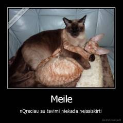 Meile - nQreciau su tavimi niekada neissiskirti 