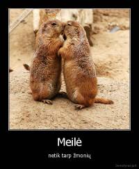 Meilė - netik tarp žmonių