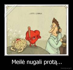 Meilė nugali protą... - 