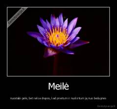 Meilė - nuostabi gėlė, bet reikia drąsos, kad prieitum ir nuskintum ją nuo bedugnės