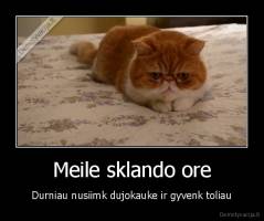 Meile sklando ore - Durniau nusiimk dujokauke ir gyvenk toliau