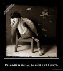 Meilė suteikia sparnus, bet atima norą skraidyti. - 