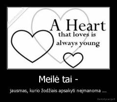 Meilė tai - - jausmas, kurio žodžiais apsakyti neįmanoma ...