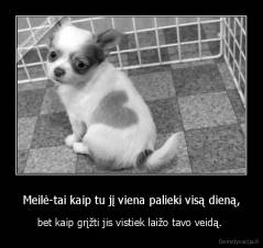 Meilė-tai kaip tu jį viena palieki visą dieną, - bet kaip grįžti jis vistiek laižo tavo veidą. 