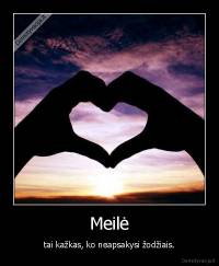 Meilė - tai kažkas, ko neapsakysi žodžiais.