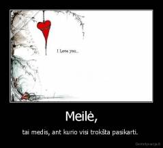 Meilė, - tai medis, ant kurio visi trokšta pasikarti. 