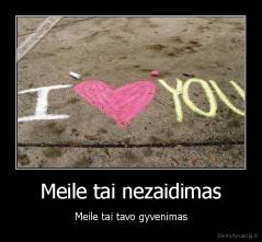 Meile tai nezaidimas - Meile tai tavo gyvenimas