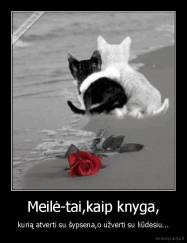 Meilė-tai,kaip knyga, - kurią atverti su šypsena,o užverti su liūdesiu...