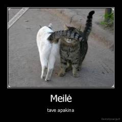 Meilė - tave apakina