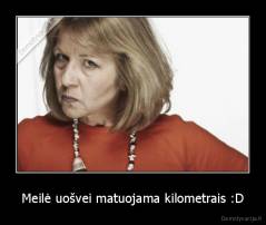 Meilė uošvei matuojama kilometrais :D - 