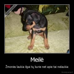 Meilė - Žmonės laukia ilgai tų kurie net apie tai nelaukia